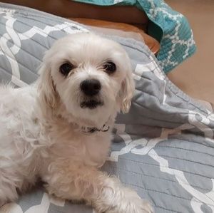 Meet your Posher, Lacie